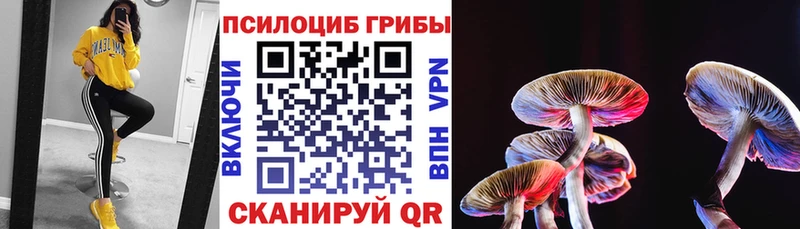 Галлюциногенные грибы мицелий  Купить где  Серпухов 